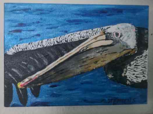 pelican against blue water