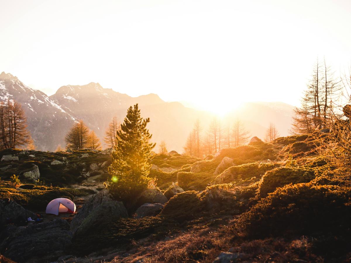 Prepare for a Purposeful Life in&nbsp;Retirement