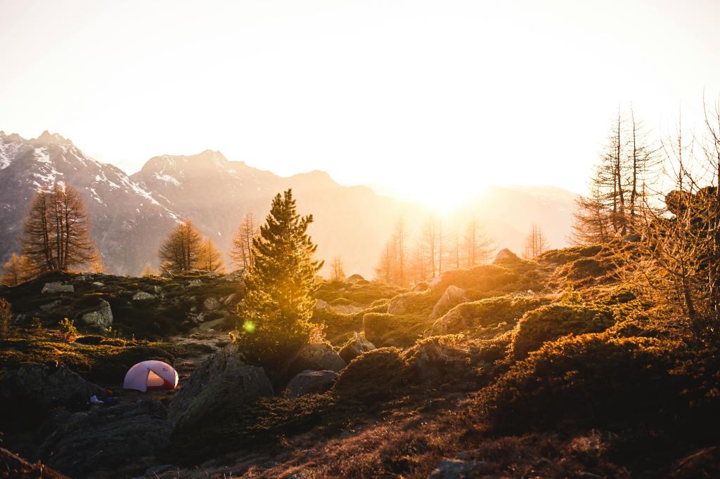 sunrise in the forested foothills