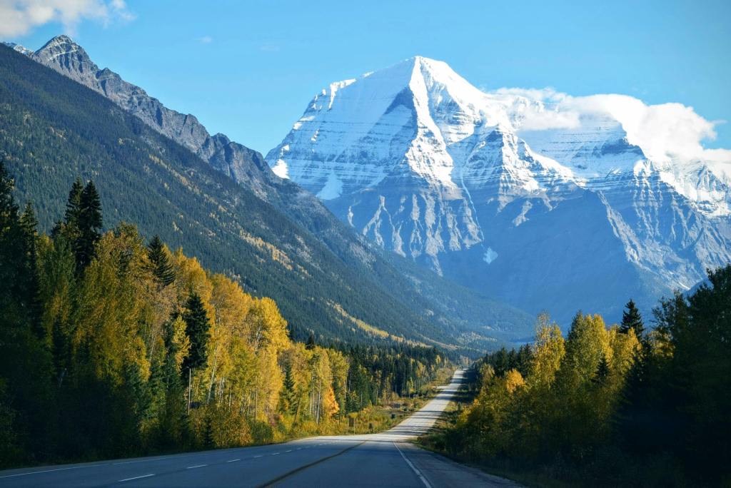 a road going off into the distance through a forest toward snow-capped mountains