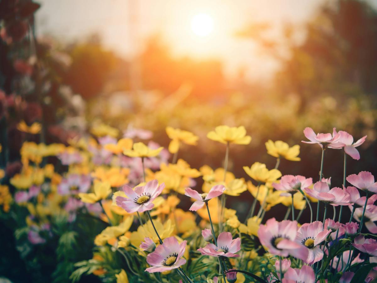Managing Midlife